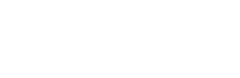 CarZone